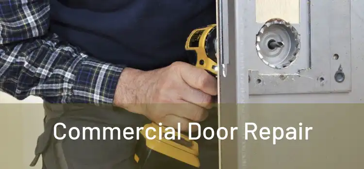 Commercial Door Repair